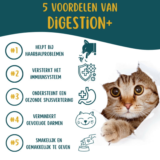 Digestion +