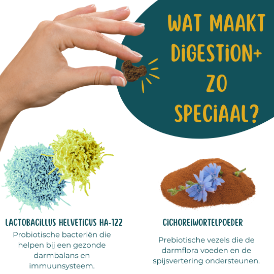 Digestion +