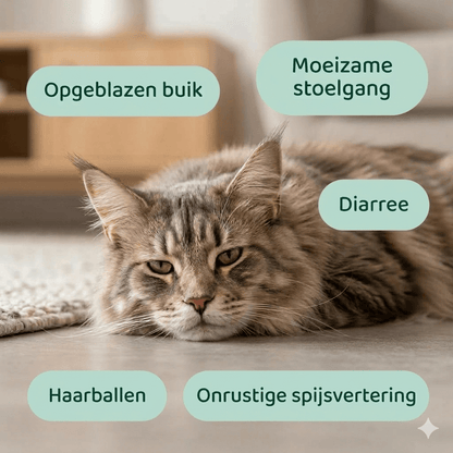 Digestion+ 🌿 100% natuurlijk 🛡️ Complete darmformule 🫙 90 soft chews