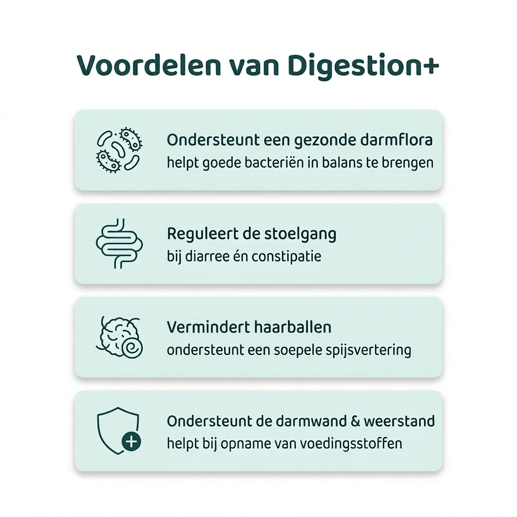 Digestion+ 🌿 100% natuurlijk 🛡️ Complete darmformule 🫙 90 soft chews
