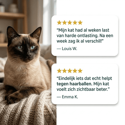 Digestion+ 🌿 100% natuurlijk 🛡️ Complete darmformule 🫙 90 soft chews