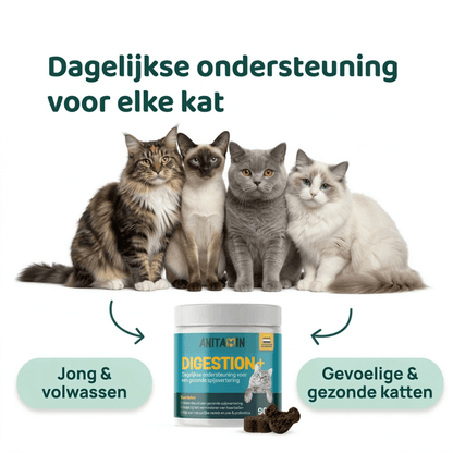 Digestion+ 🌿 100% natuurlijk 🛡️ Complete darmformule 🫙 90 soft chews