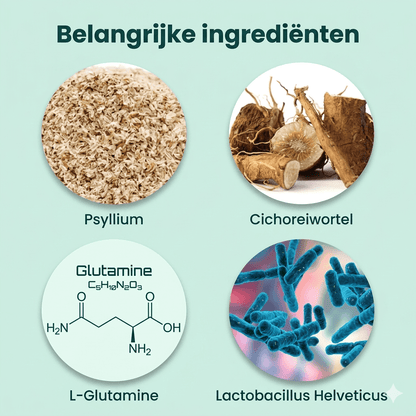 Digestion+ 🌿 100% natuurlijk 🛡️ Complete darmformule 🫙 90 soft chews